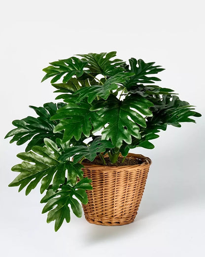 Studio McGee Philodendron 16” Faux Plant in Wicker Woven Basket Threshold Brand x Studio McGee